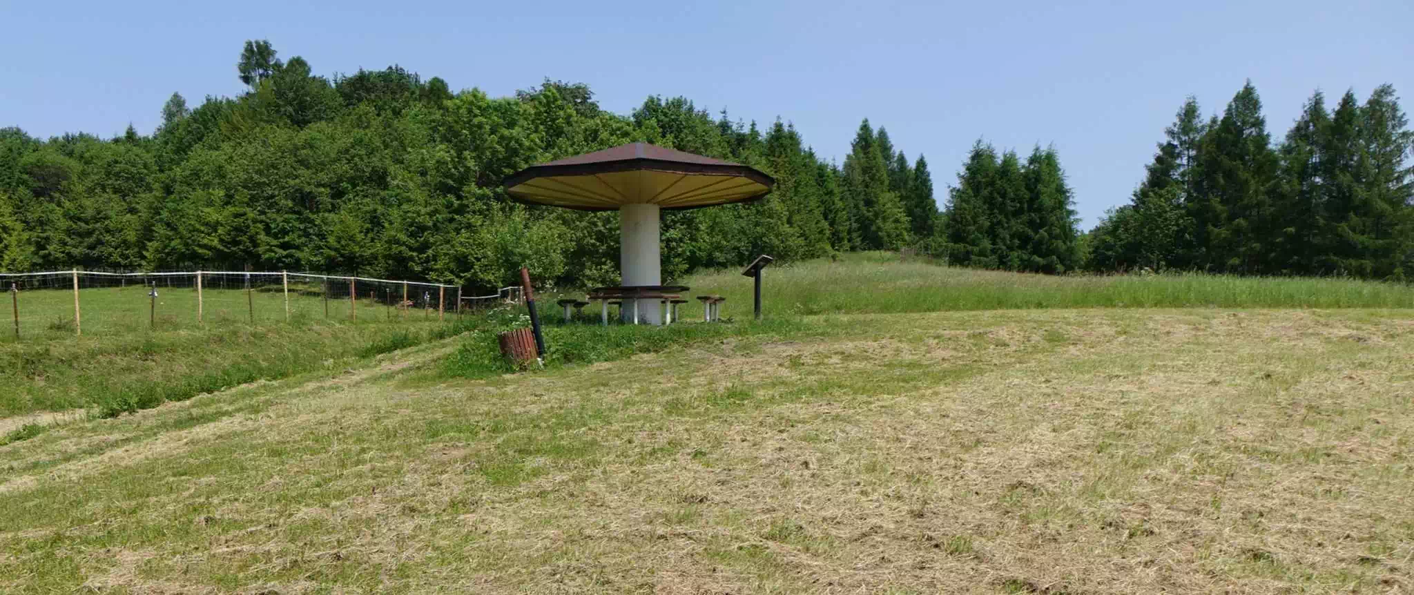  Kuśmierzowa (705 m n.p.m.) panorama