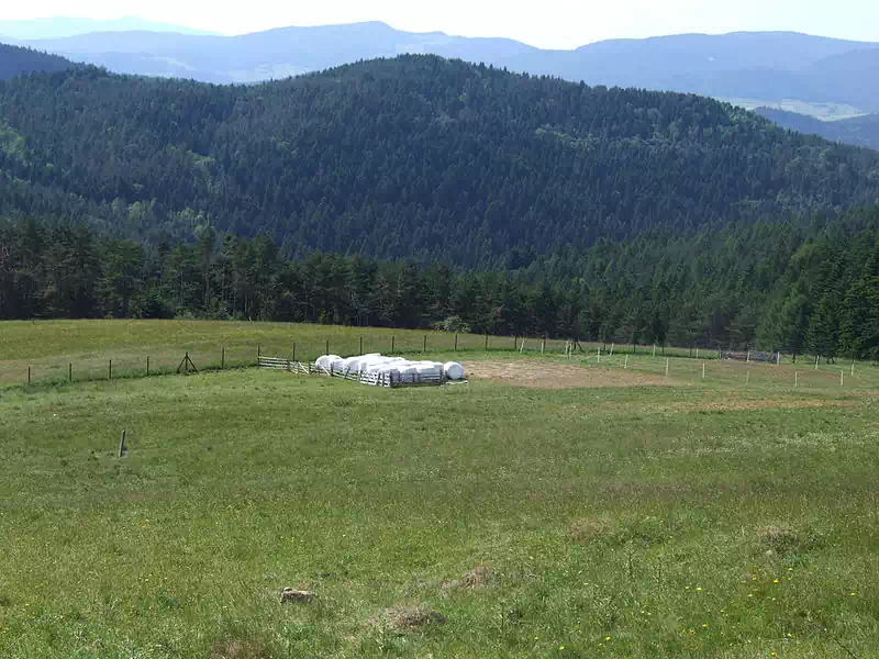  Przykra ( 768 m n.p.m.) panorama