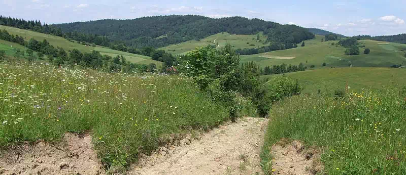  Pusta ( 822 m n.p.m.) panorama