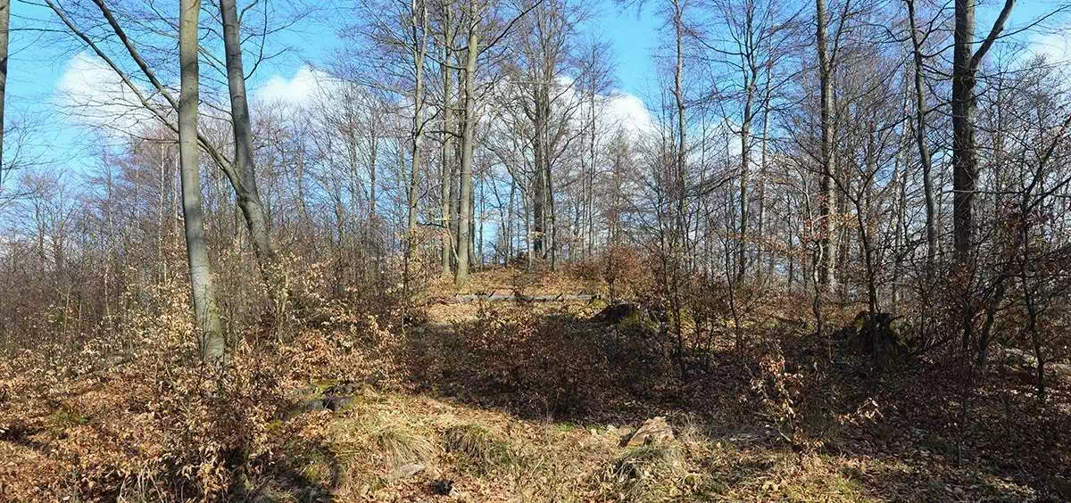  Rąbaniska ( 786 m n.p.m.) panorama