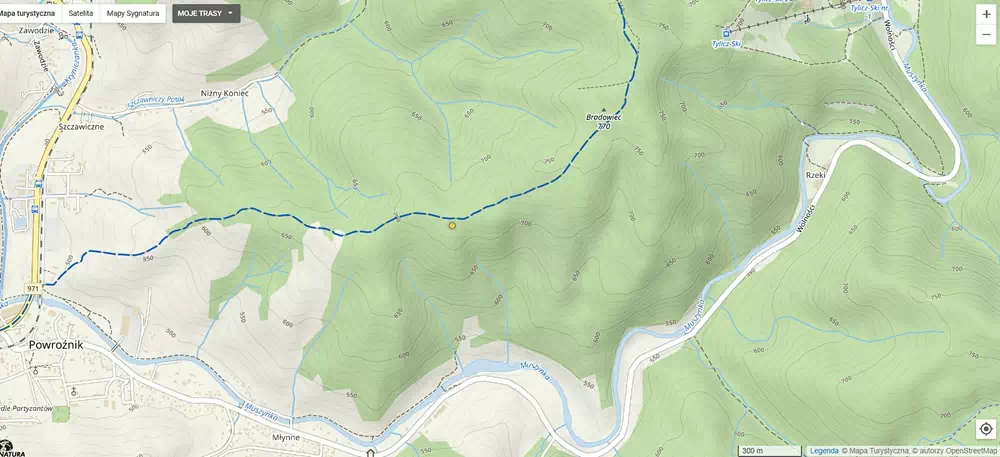  Rakowskie ( 707 m n.p.m.) panorama