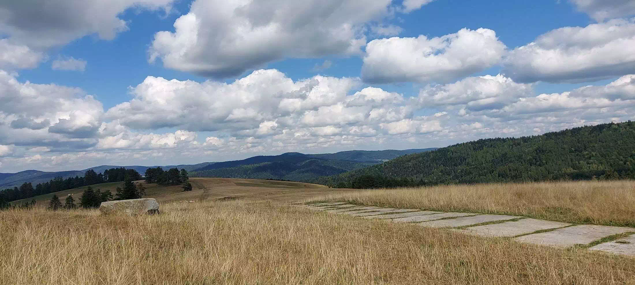  Roztoka ( 795 m n.p.m.) panorama