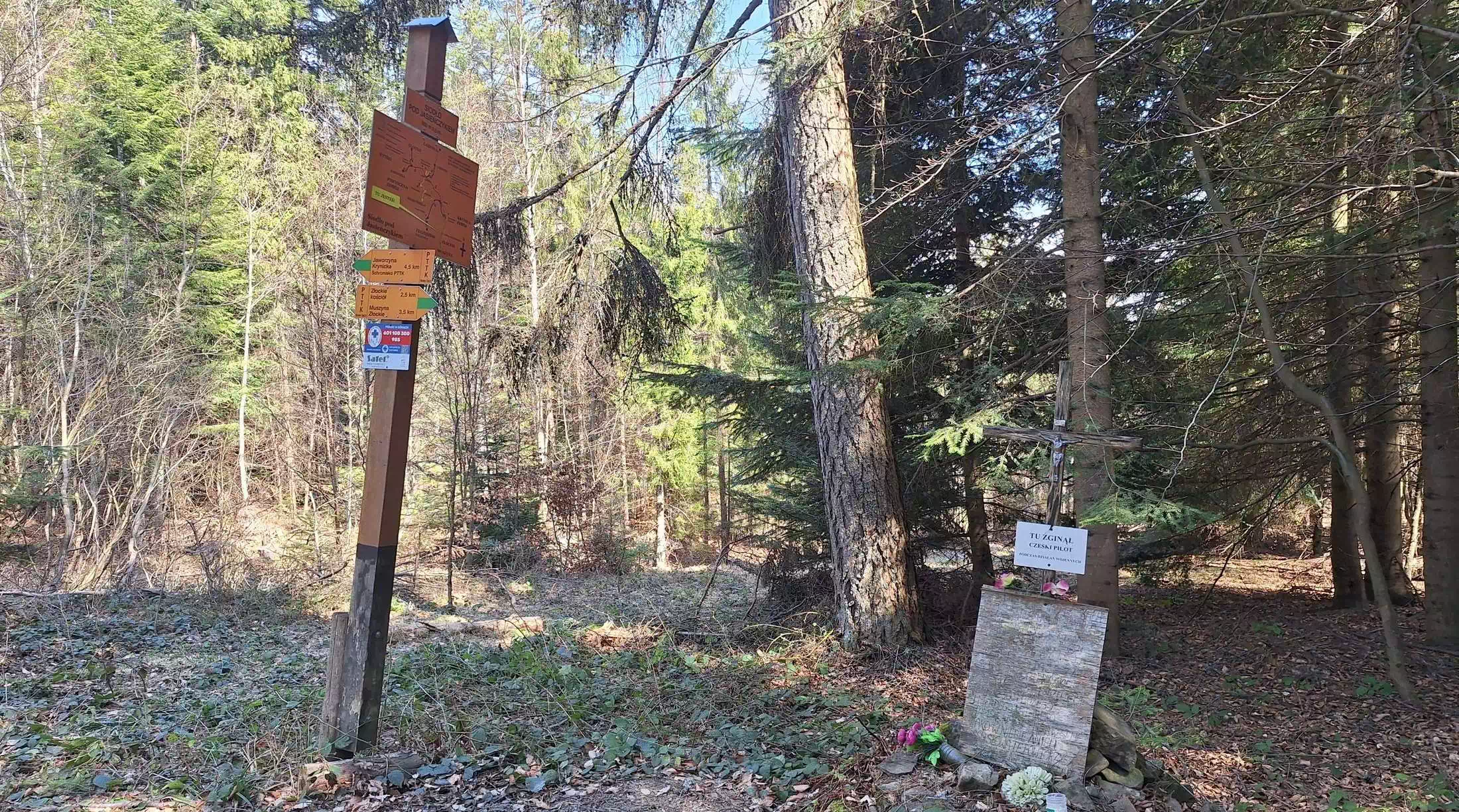  Siodło pod Jasieńczykiem ( 660 m n.p.m.) panorama