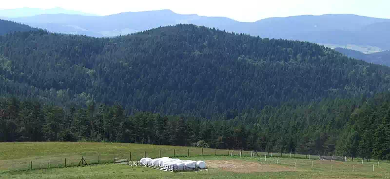  Słupne ( 817 m n.p.m.) panorama
