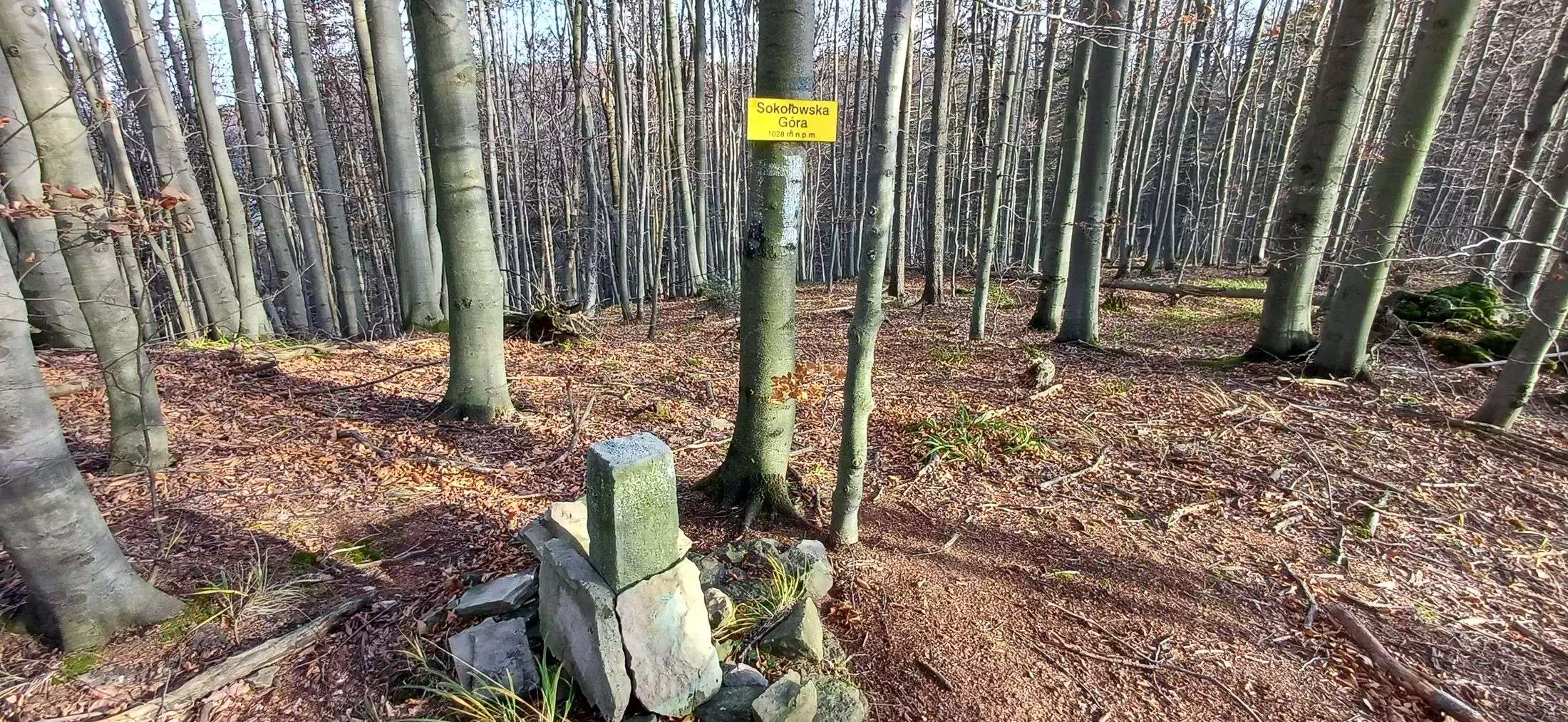  Sokołowska Góra ( 1028 m n.p.m.) panorama