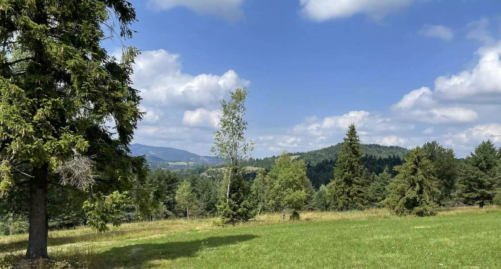  Solowka ( 828 m n.p.m.) panorama