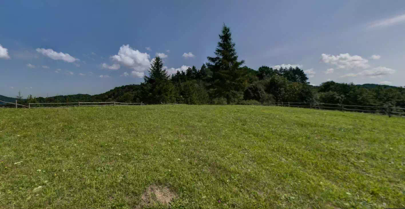  Stajkowa ( 706 m n.p.m.) panorama