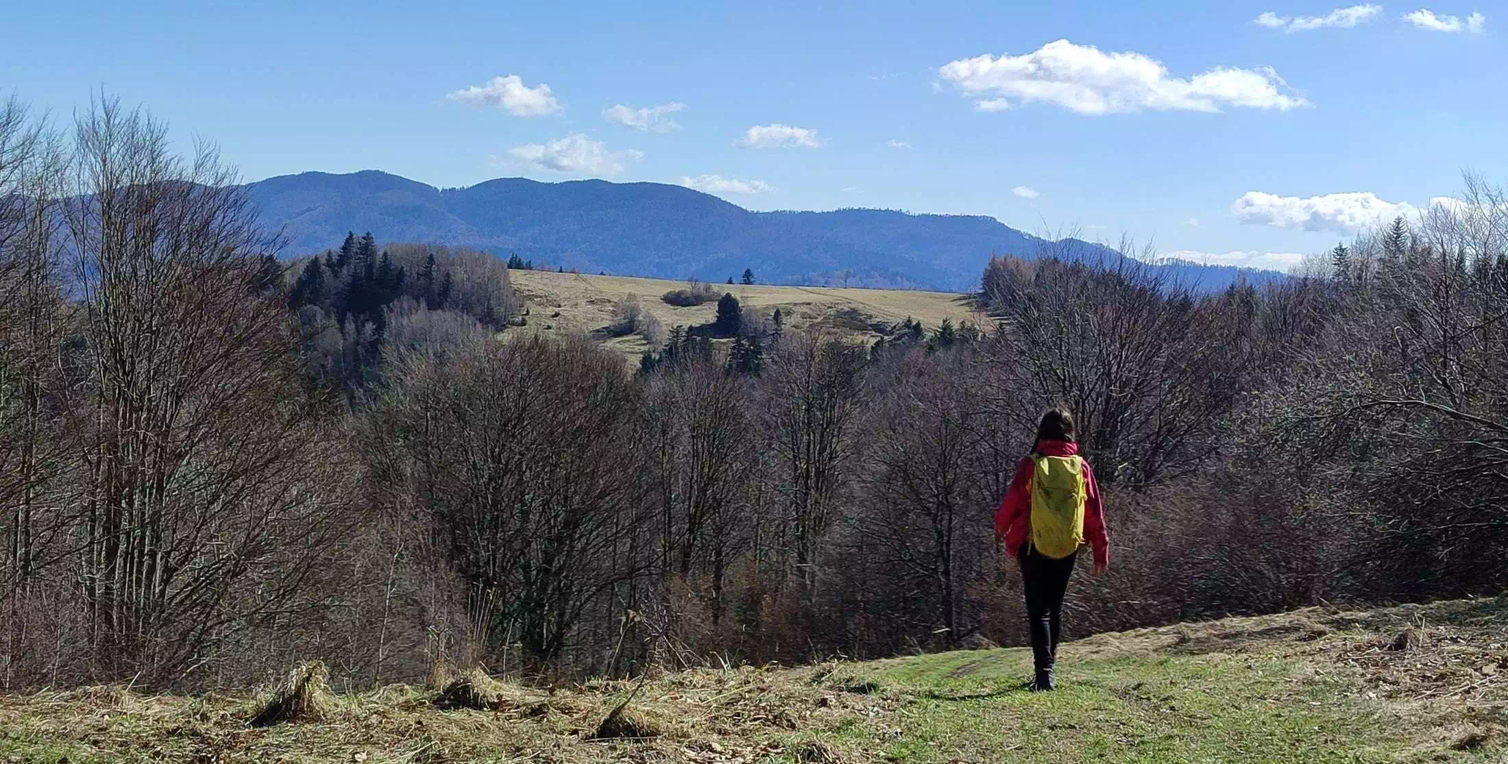  Suchy Groń ( 855 m n.p.m.) panorama