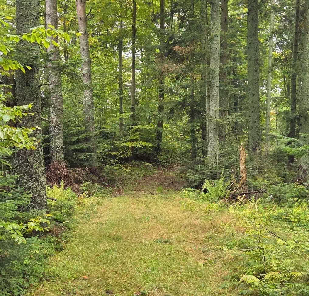  Szczawna Góra ( 781 m n.p.m.) panorama