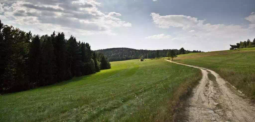  Trzy Kopce ( 687 m n.p.m.) panorama