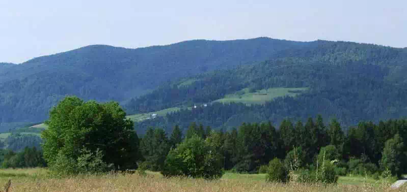  Góra Wielka Polana ( 794 m n.p.m.) panorama