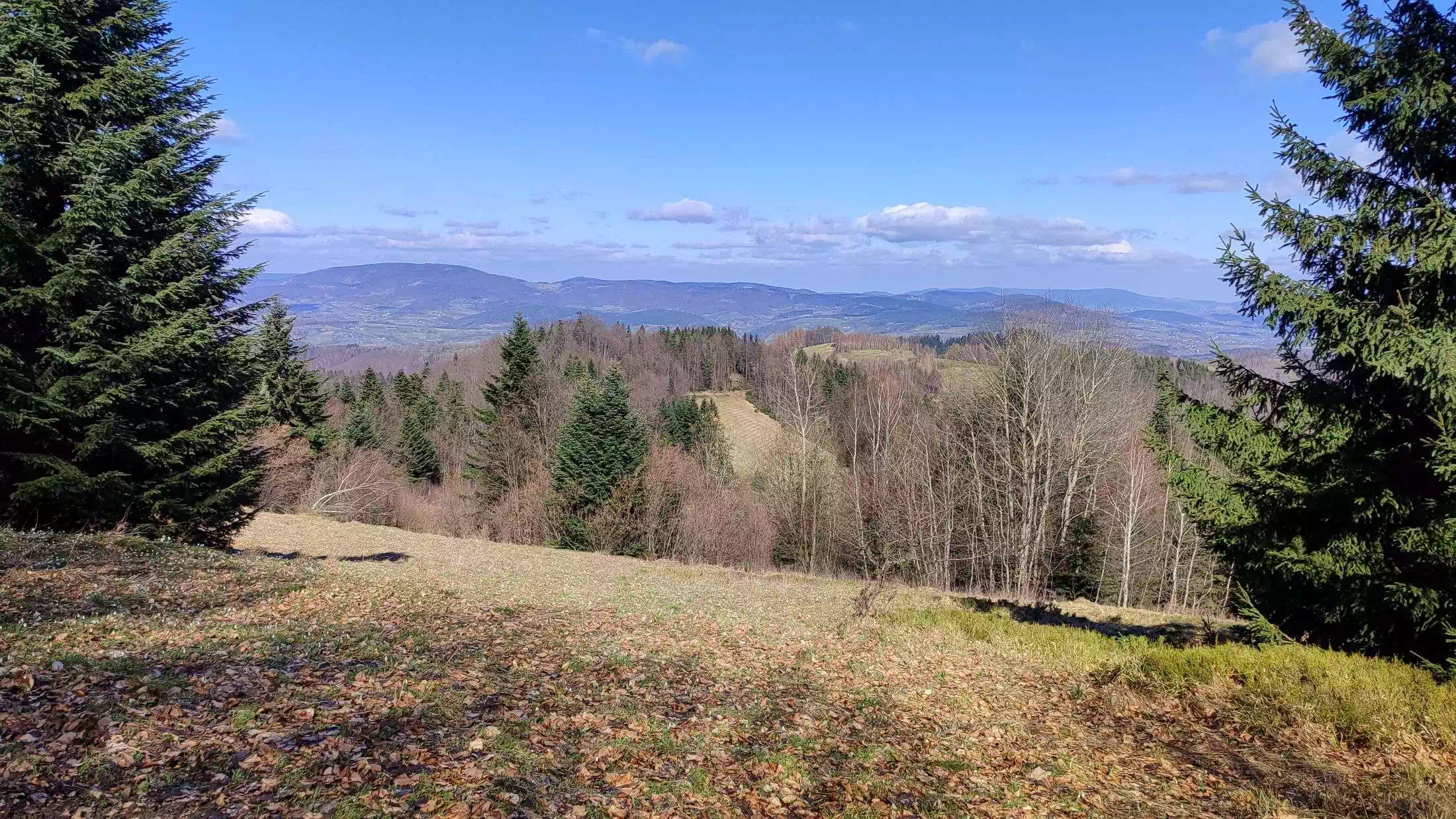  Wojakówka ( 834 m n.p.m.) panorama