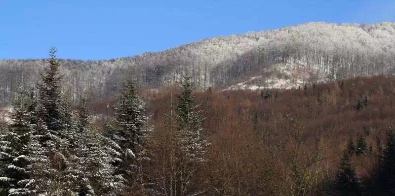  Wysoki Gruń ( 660 m n.p.m.) panorama