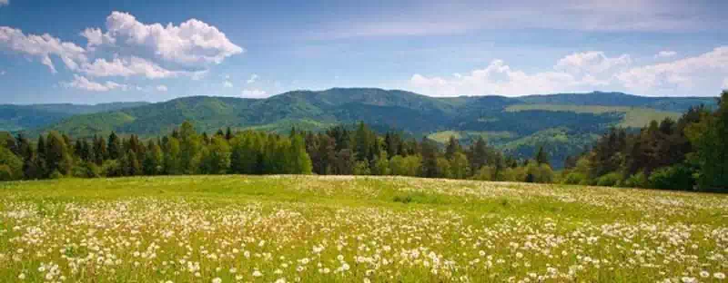  Zapała ( 639 m n.p.m.) panorama