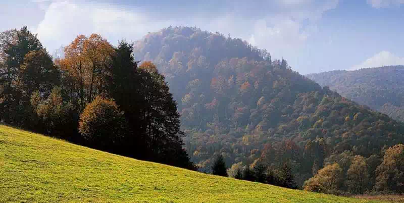  Zbójnicki Wierch ( 720 m n.p.m.) panorama