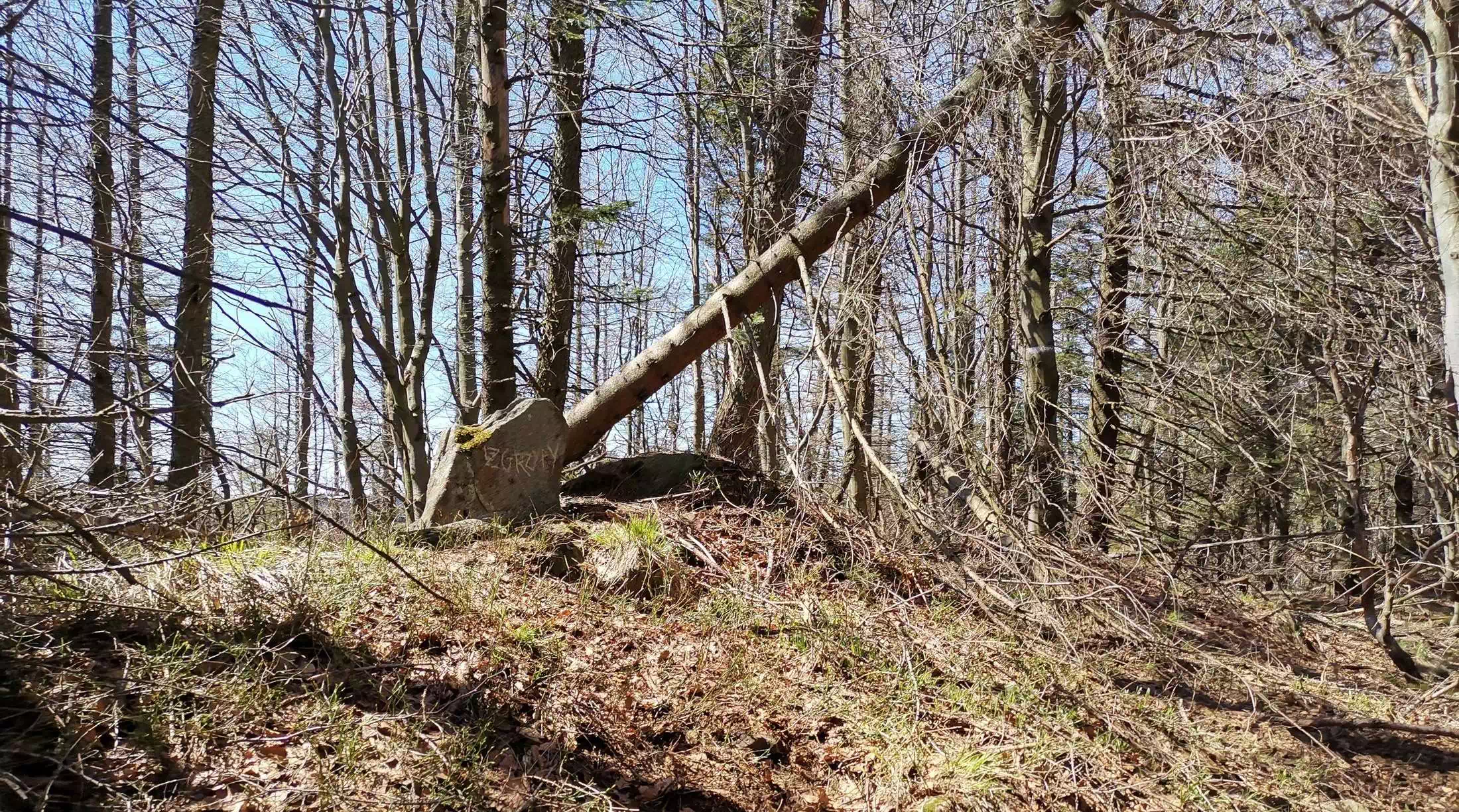  Zgrzypy ( 1124 m n.p.m.) panorama