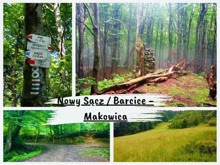 Najpiękniejsze szlaki w Beskidzie Sądeckim Stary Sącz / Barcicie - Makowica