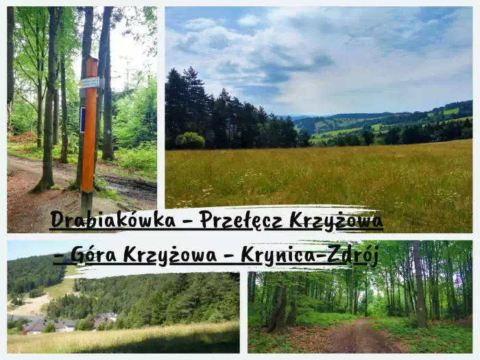 Najpiękniejsze szlaki w Beskidzie Sądeckim Drabiakówka - Góra Krzyżowa - Krynica