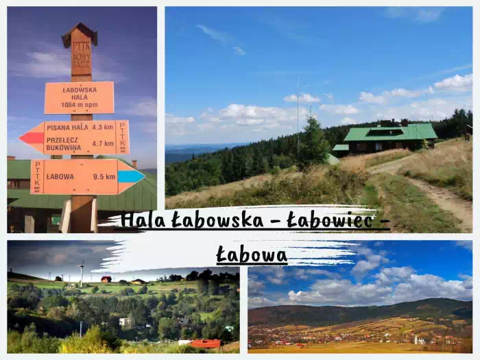 Najpiękniejsze szlaki w Beskidzie Sądeckim Hala Łabowska - Łabowa