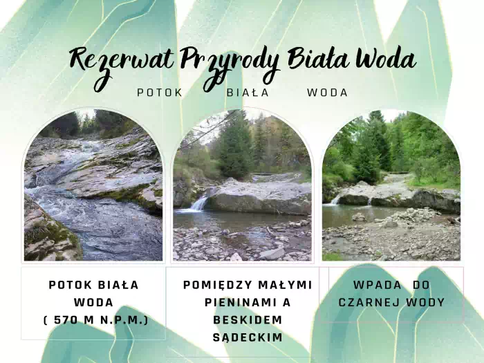 Rezerwat Przyrody Biała Woda