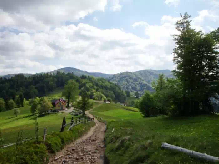 Przełęcz przysłop - beskid sądecki Przełęcz przysłop - beskid sądecki