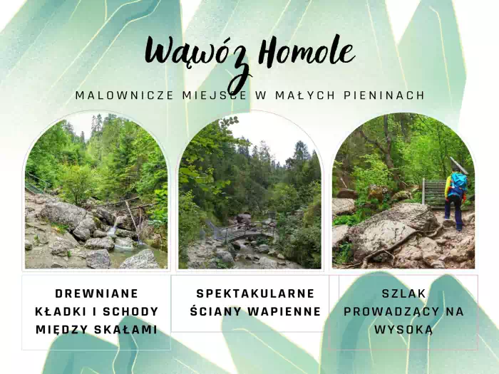 Wąwóz Homole