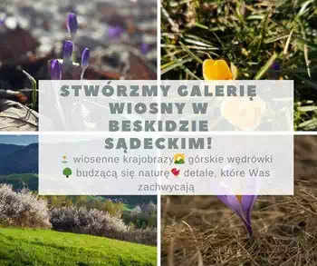 Wiosna w Beskidzie Sądeckim – pokaż ją swoim oczami!