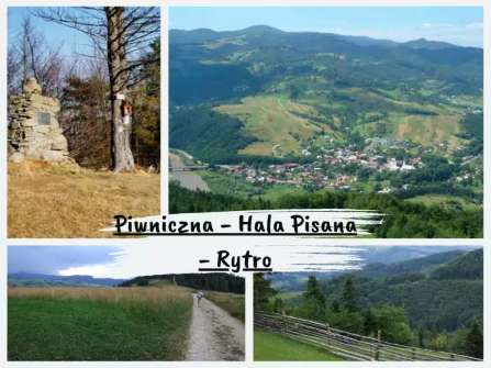 Piwniczna - Hala Pisana - Rytro