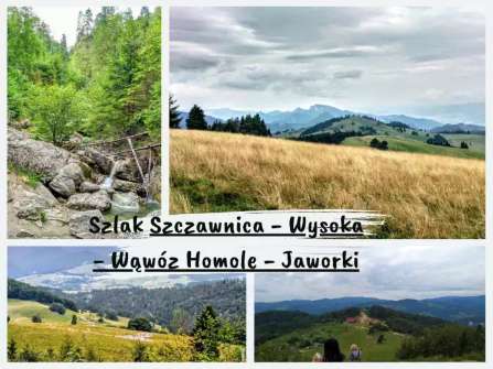 Szczawnica - Wysoka - Wąwóz Homole - Jaworki