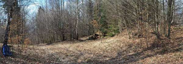 Barnów Las