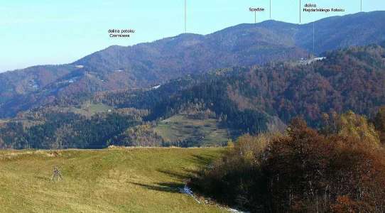 Będzikówka