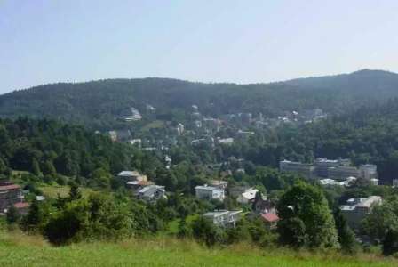 Bradowiec