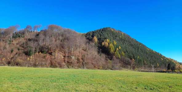Bystra