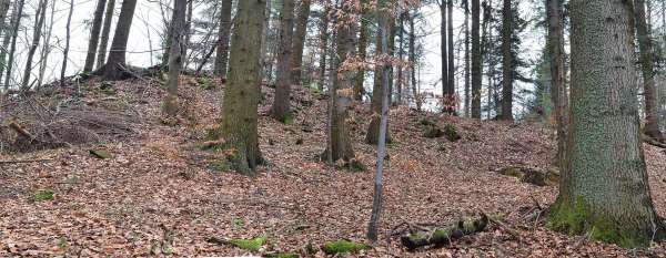 Gaborówka