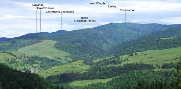 Gwoździanka