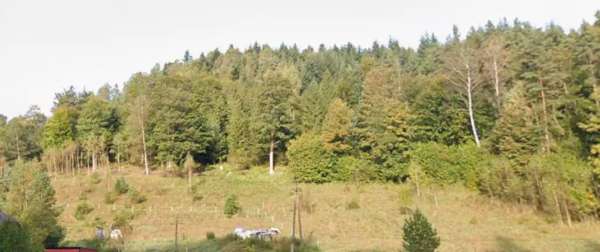 Kiczera