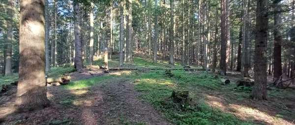 Kopiec