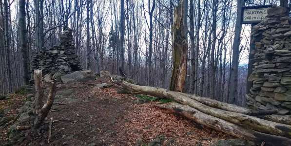 Makowica