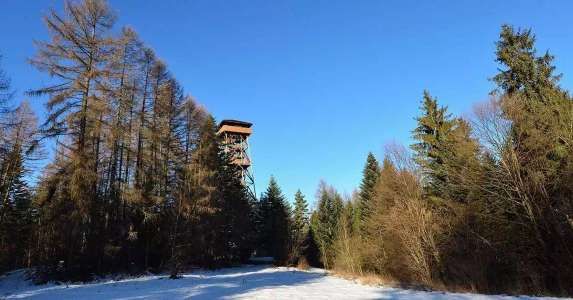 Malnik
