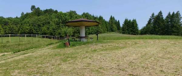 Kuśmierzowa