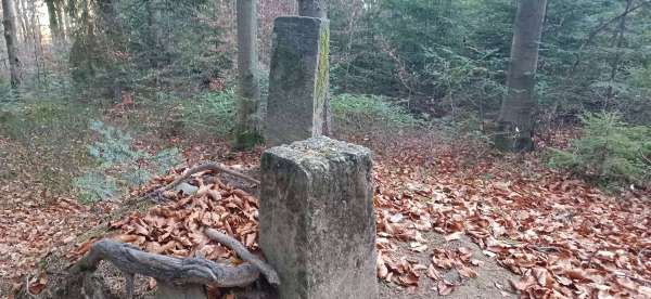 Przysłop