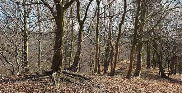 Sołtysia Góra