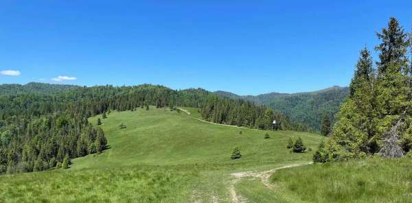 Stary Wierch