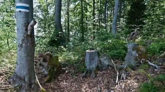 Stawiska