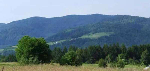 Góra Wielka Polana