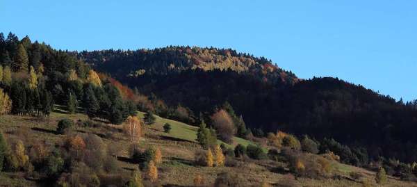 Zdziar