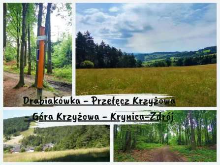 Drabiakówka - Przełęcz Krzyżowa - Góra Krzyżowa - Krynica