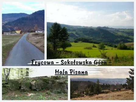 Frycowa - Sokołowska Góra - Hala Pisana