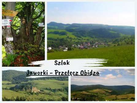Jaworki - Przełęcz Obidza
