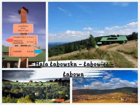 Hala Łabowska - Łabowiec - Łabowa